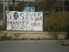 IMGP3389.jpg