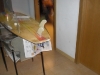 CIMG0452