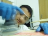 P1010006.jpg