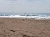 DSC_0006.jpg